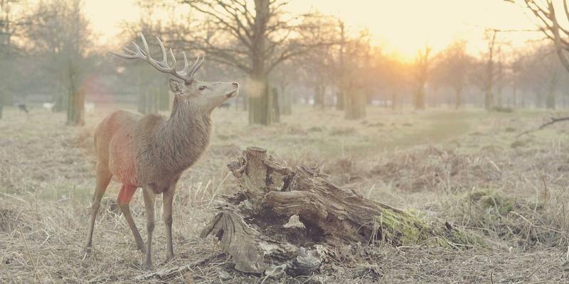北京龙江天辰：从工业解决方案思维看户型设计的智慧与选择