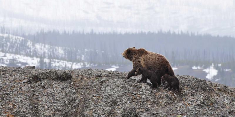 破局数据孤岛：北京龙江天辰园区如何构建工业互联网平台，赋能机械制造自动化设备